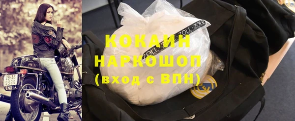 прущие грибы Козельск