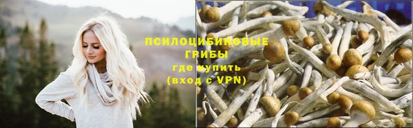 бутират Кодинск