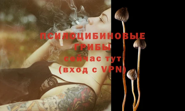 стафф Козловка