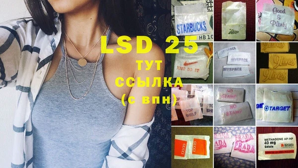 прущие грибы Козельск