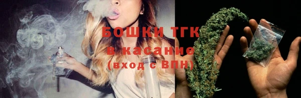 стафф Козловка