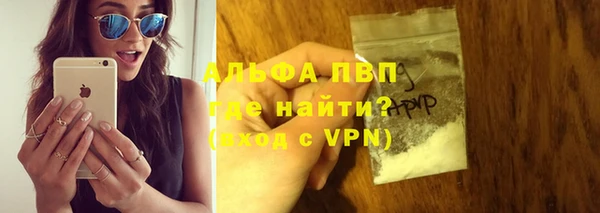 прущие грибы Козельск