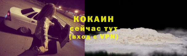 стафф Козловка