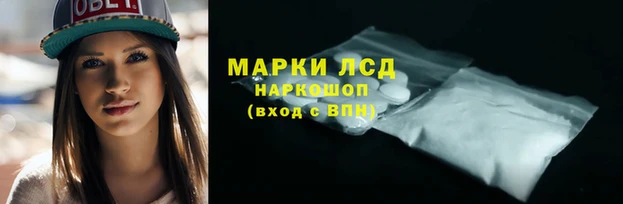 стафф Козловка