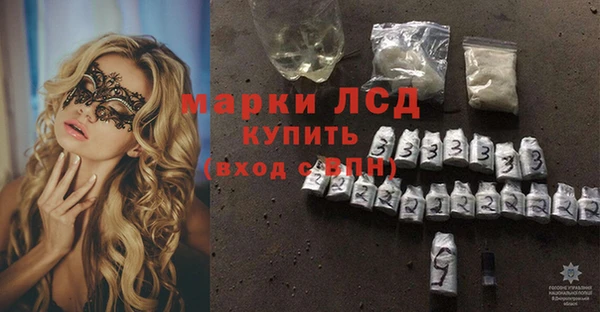 стафф Козловка