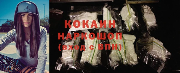 прущие грибы Козельск