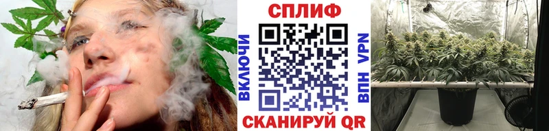 Купить  Алзамай  Бошки марихуана марихуана 